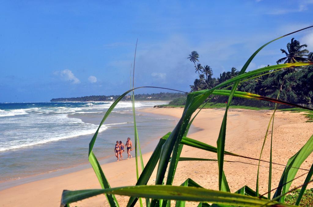 The Beach Cabanas Retreat & Spa Koggala Exterior photo