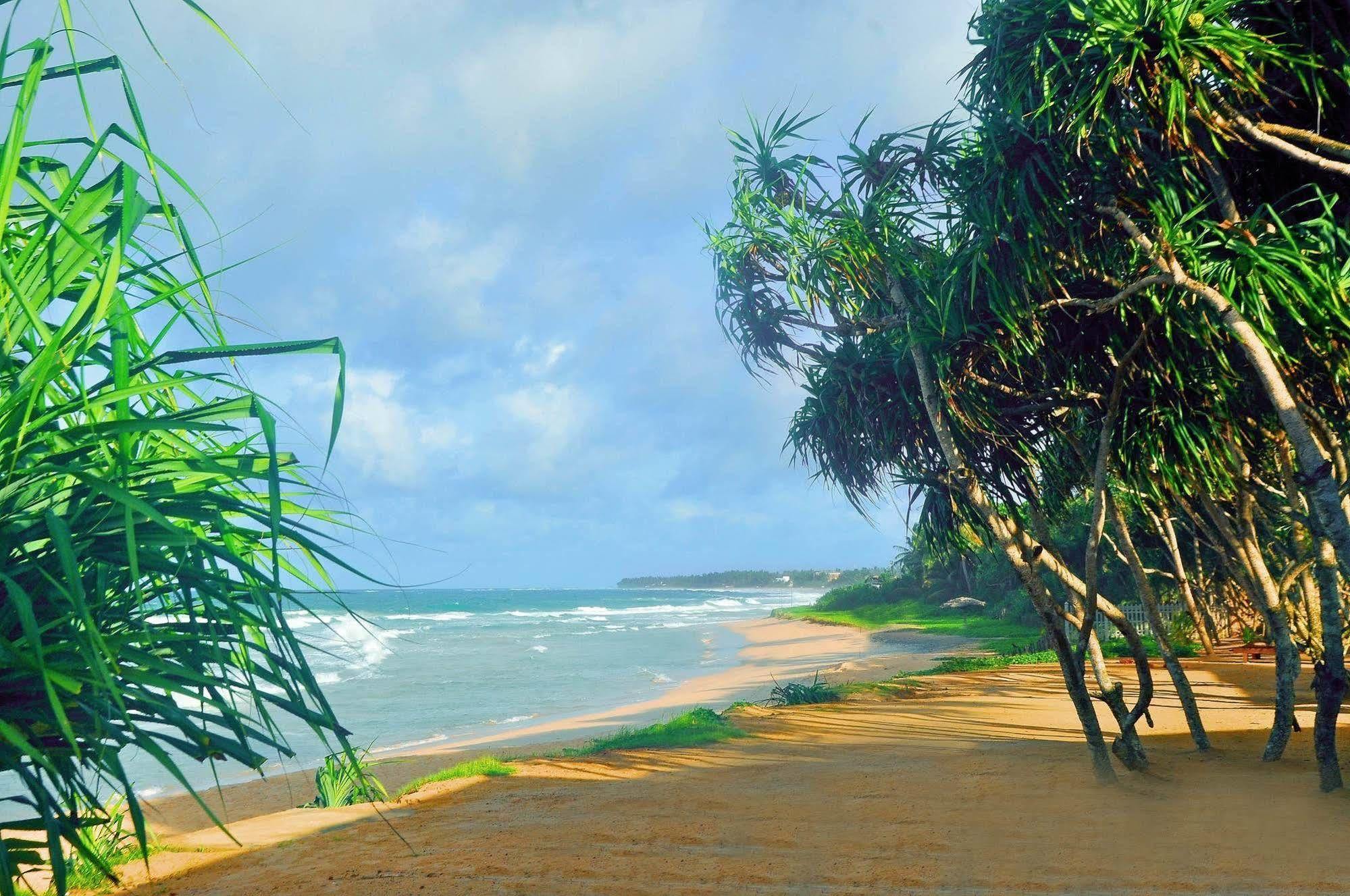 The Beach Cabanas Retreat & Spa Koggala Exterior photo